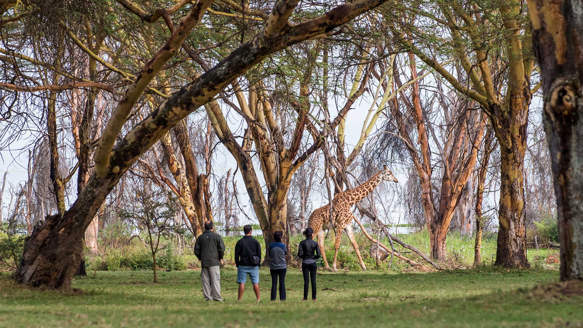 5 Days/4 Nights Lake Naivasha Luxury Retreat - Main Image
