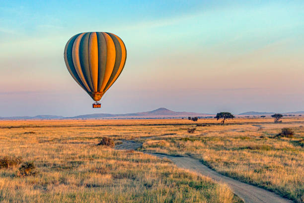 7 Days/6 Nights Luxury Serengeti Safari - Main Image